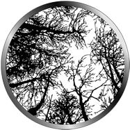 gobo